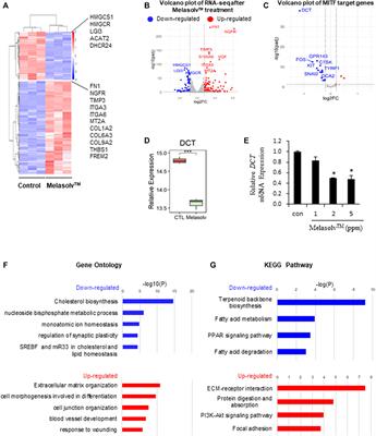 Melasolv™: a potential preventive and depigmenting agent for the senescence of melanocytes